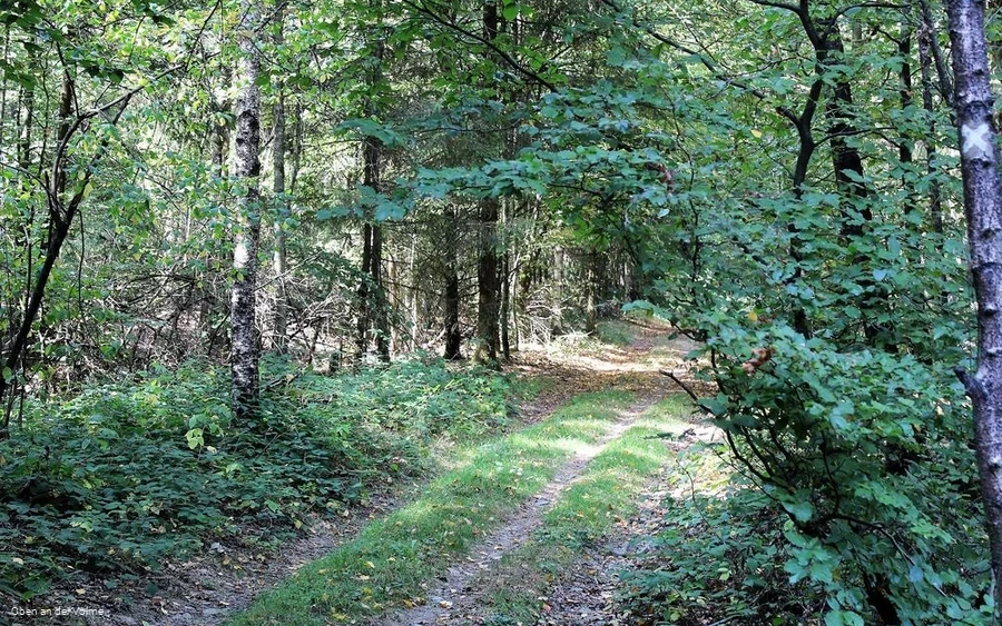 Deutlich ist historische Straße noch zu erkennen