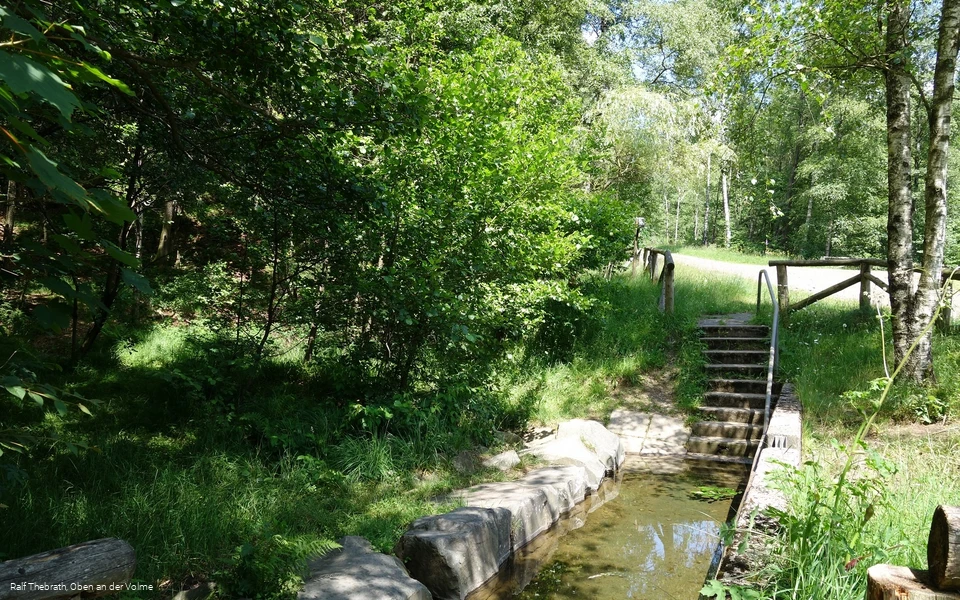 Die Kneippanlage am Wegesrand des Wanderweges