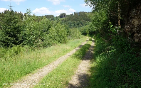 Zwischen Kränenberg und Hohhardt lässt es sich gemütlich wandern