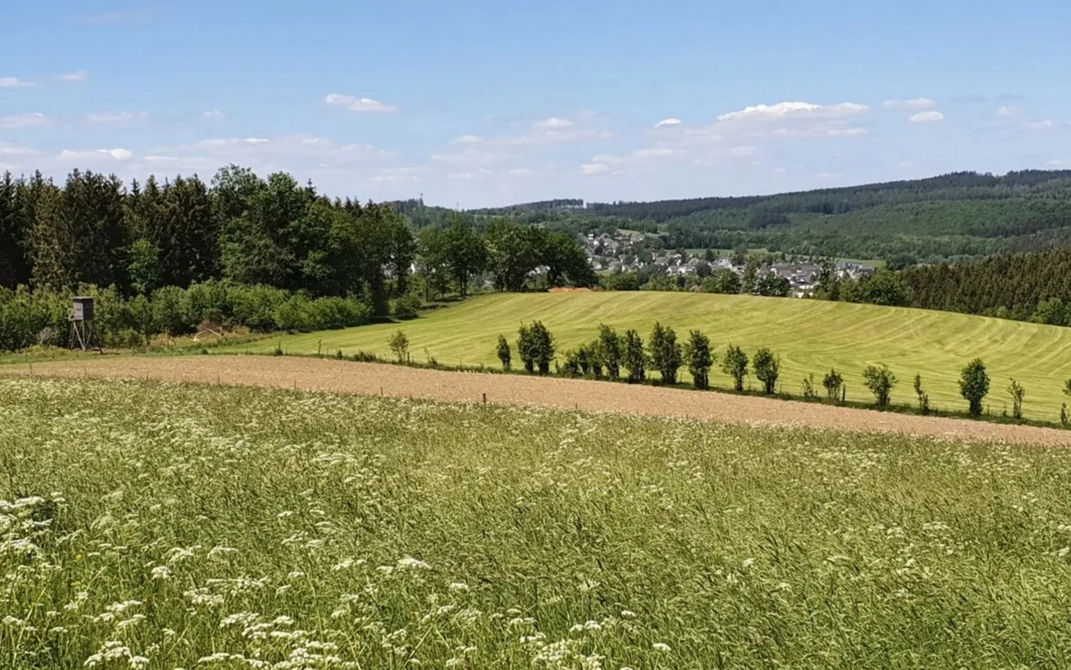 Rundwanderweg