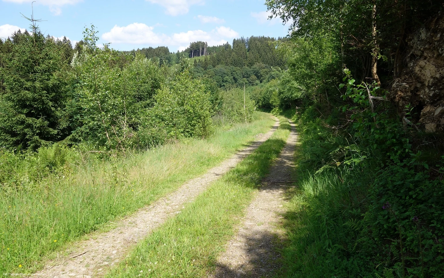 Zwischen Kränenberg und Hohhardt lässt es sich gemütlich wandern