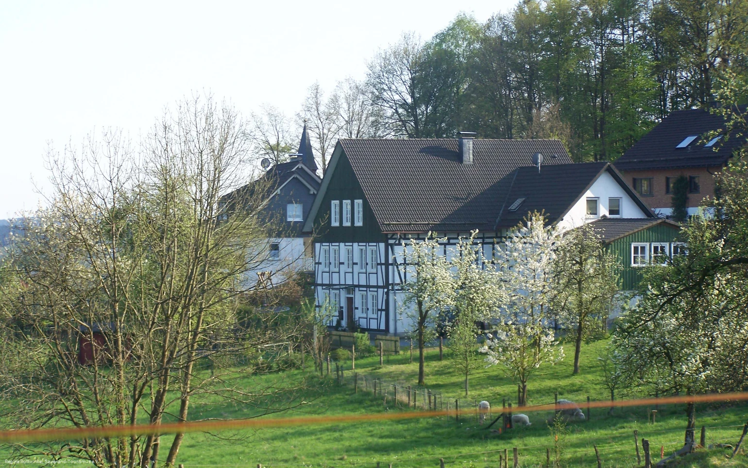 Essinghausen