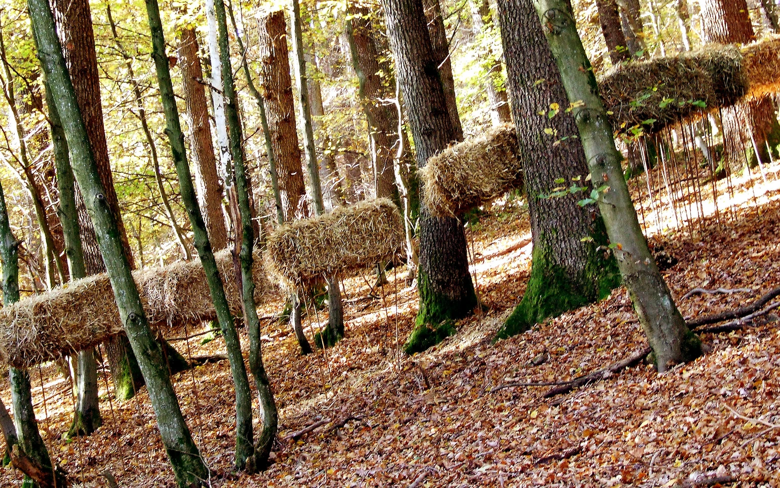 Galoppierende Strohhaufen