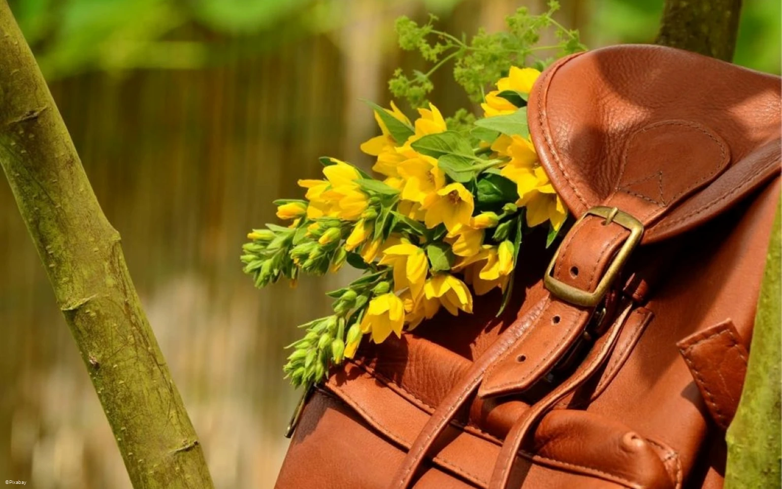 Ledertasche.jpg