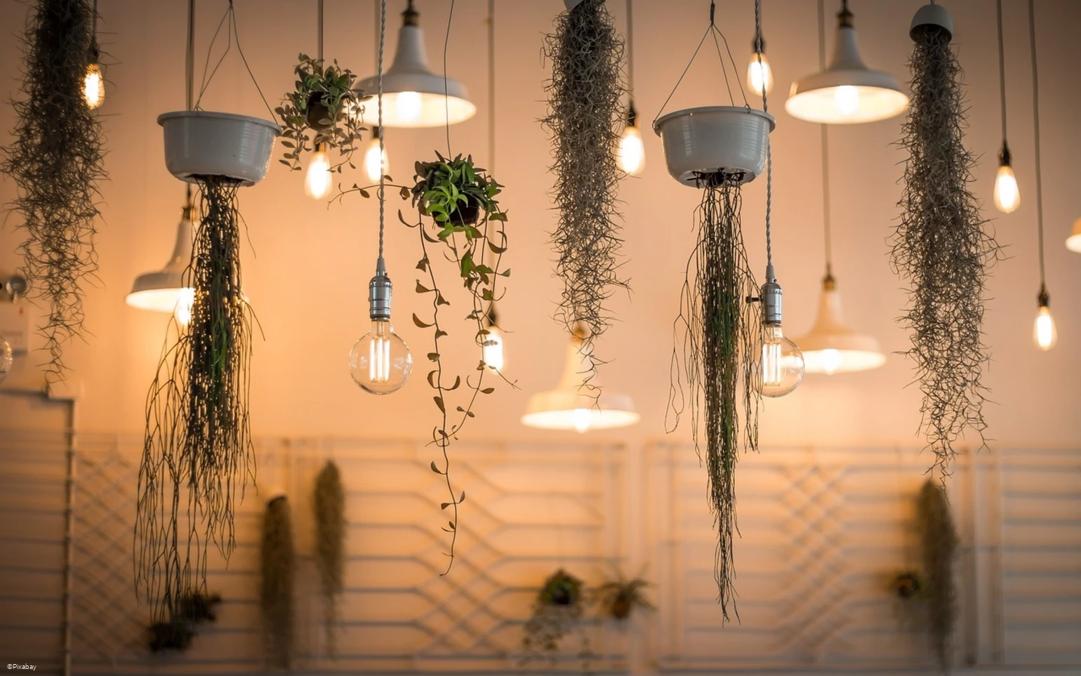 lights-1867437_1280.jpg