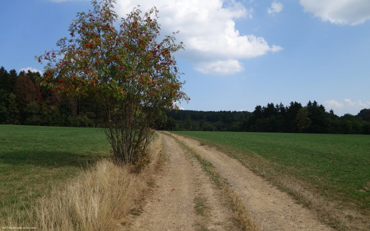 Über Felder und Wiesen mit einer tollen Rund-Um-Sicht
