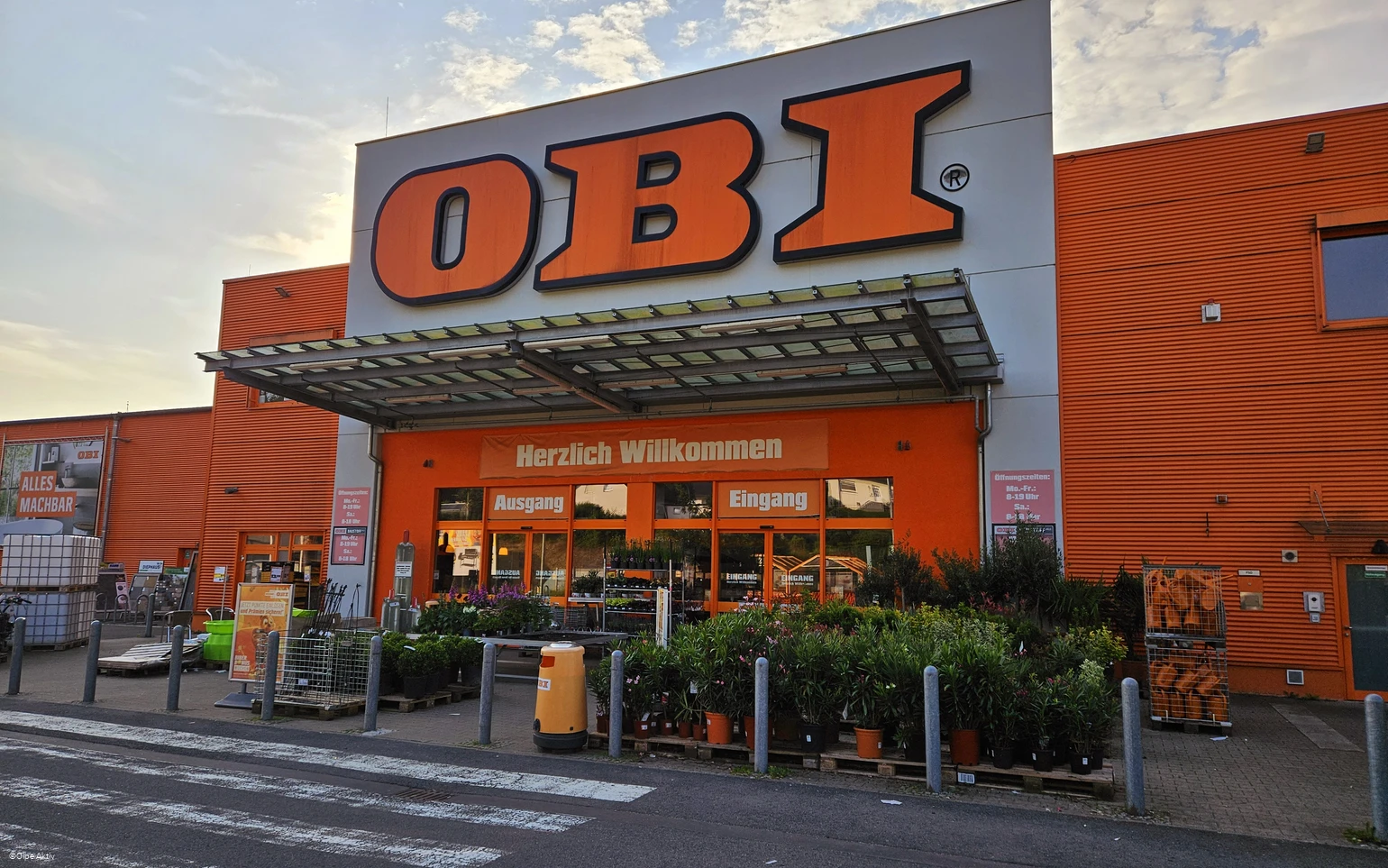 Obi.jpg