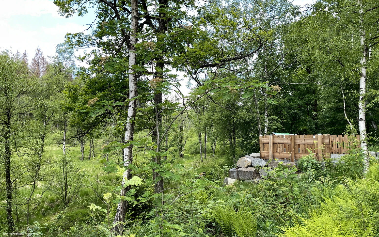 Aussichtsplateau an der Grundlosen