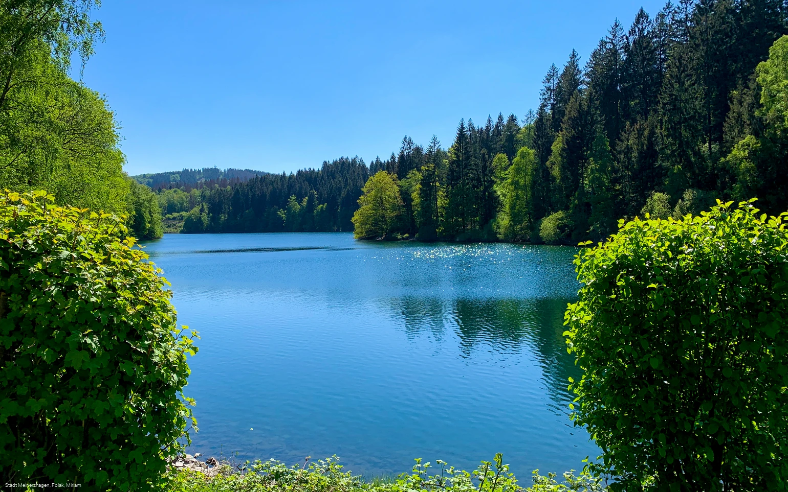 20210805_Genkel (2).jpeg