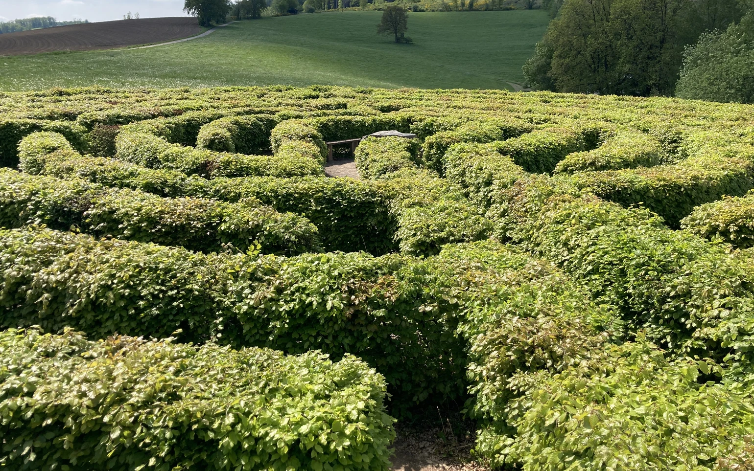 Labyrinth
