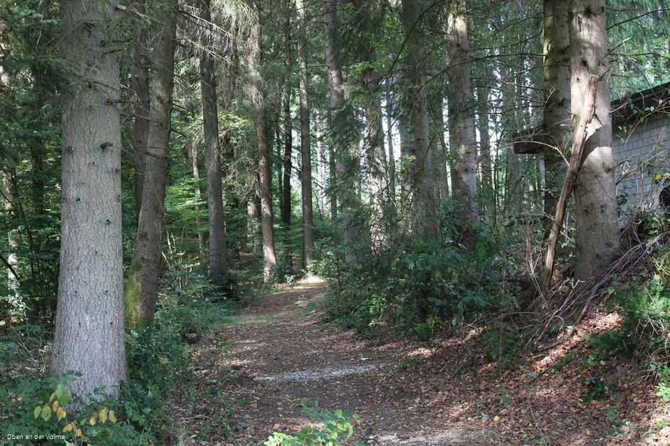 Das gut sichtbare Hohlweg