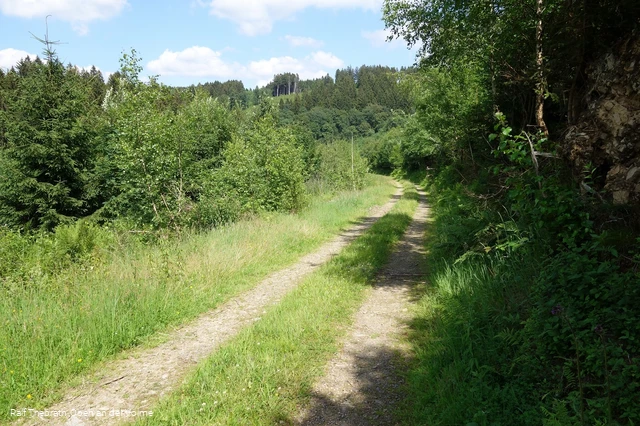 Zwischen Kränenberg und Hohhardt lässt es sich gemütlich wandern