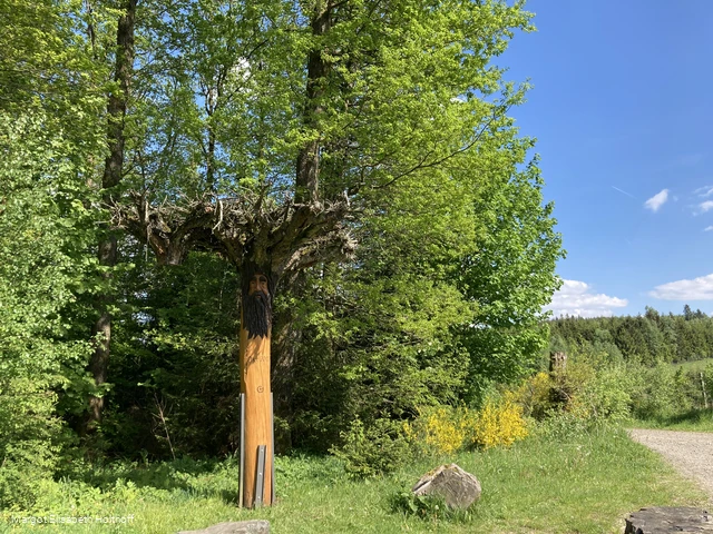 Rastplatz Jägerfichte