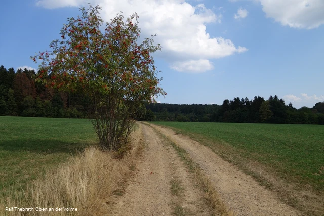 Über Felder und Wiesen mit einer tollen Rund-Um-Sicht
