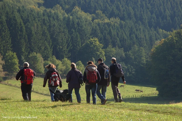 Wandergruppe oberhalb von Siebringhausen.jpg