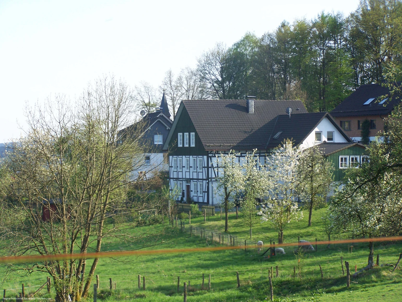 Essinghausen