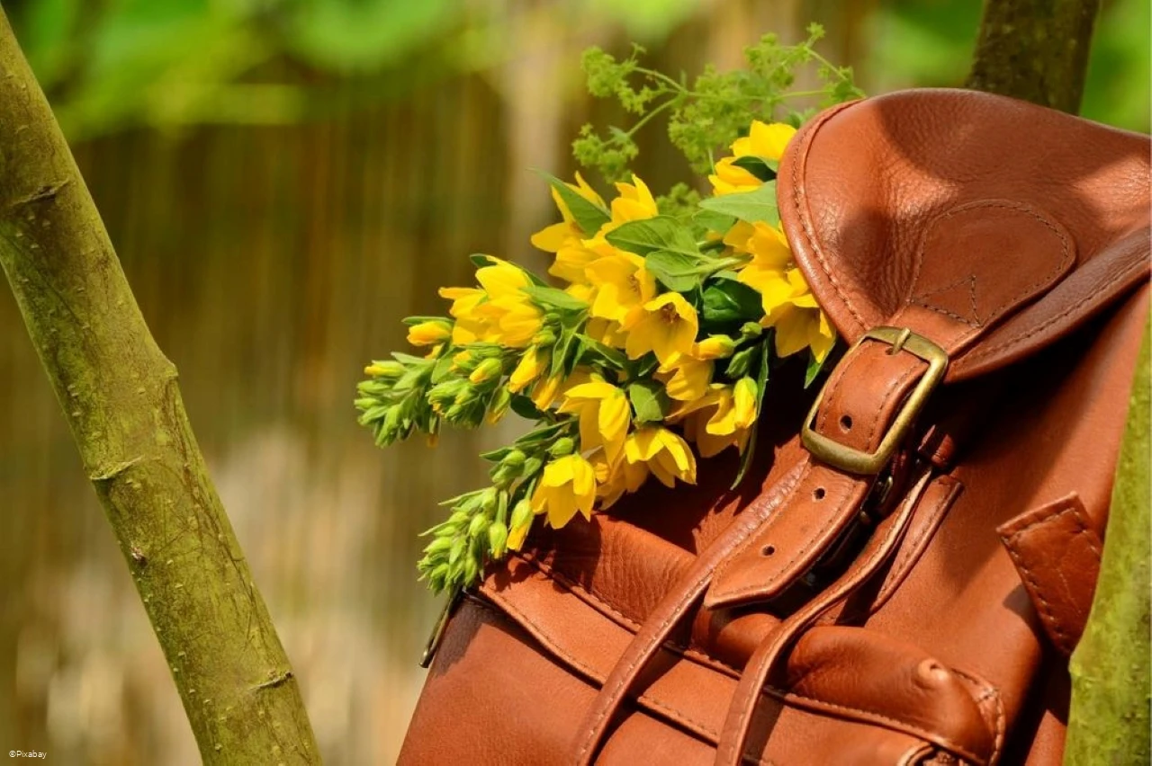 Ledertasche.jpg Ledertasche.jpg