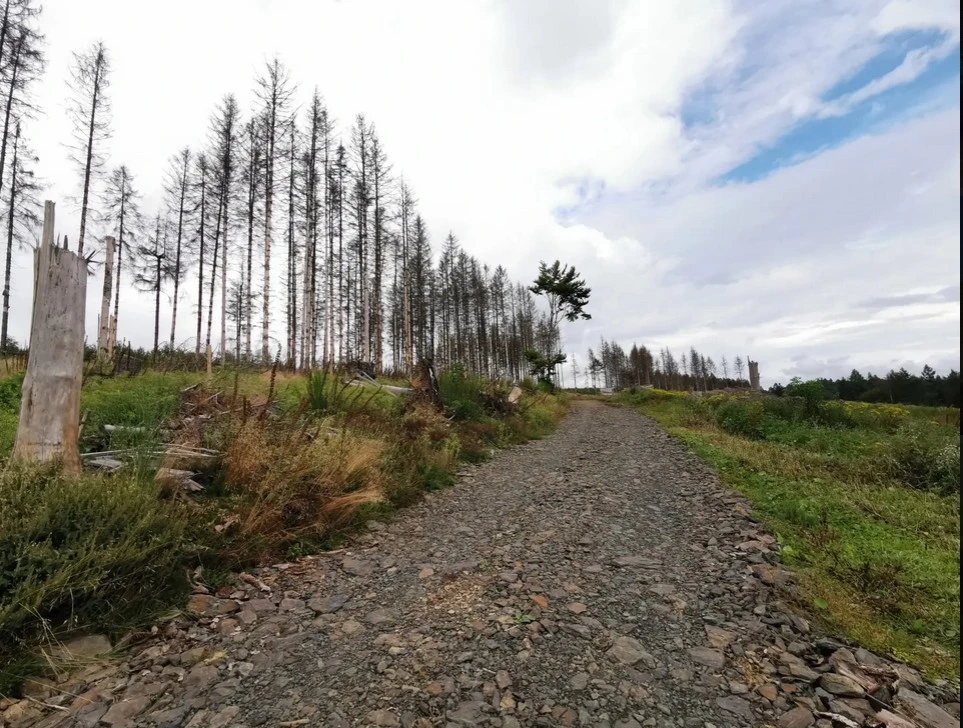 Mountainbike 1.jpg