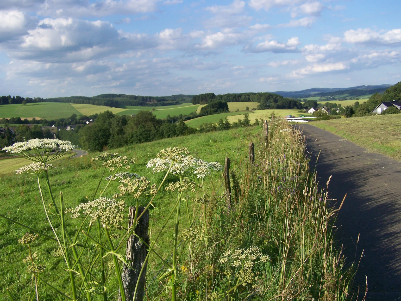 Oberhalb von Husten